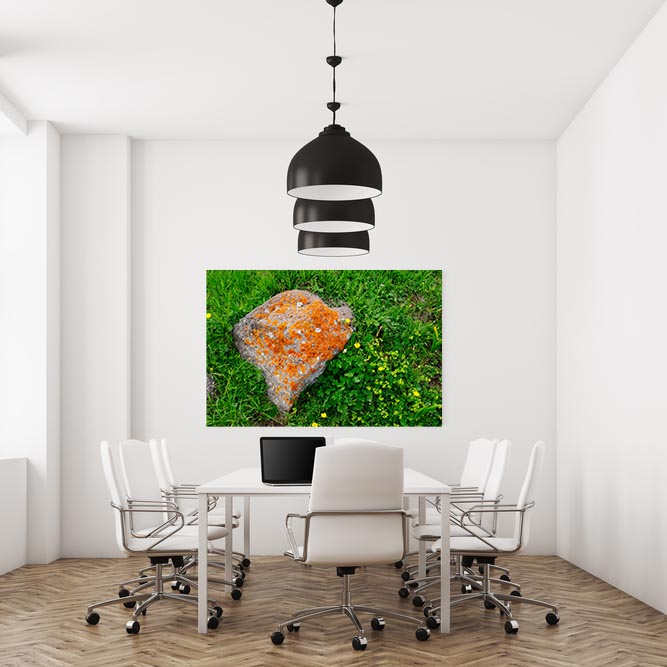 طبیعت ایران، بهار تالش، گیلان (شماره10)