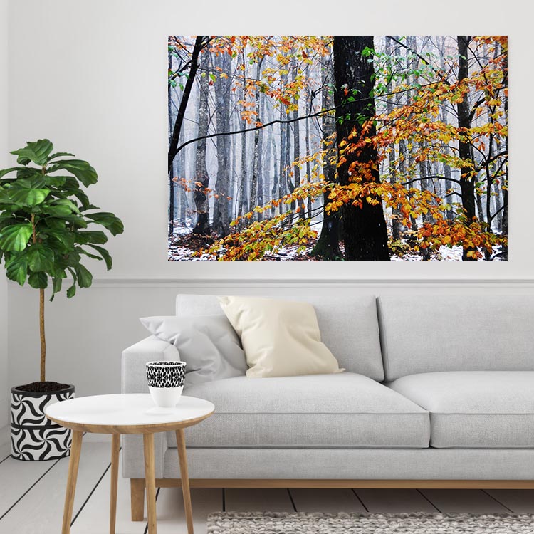 طبیعت ایران، پاییز تالش، گیلان (شماره11) 